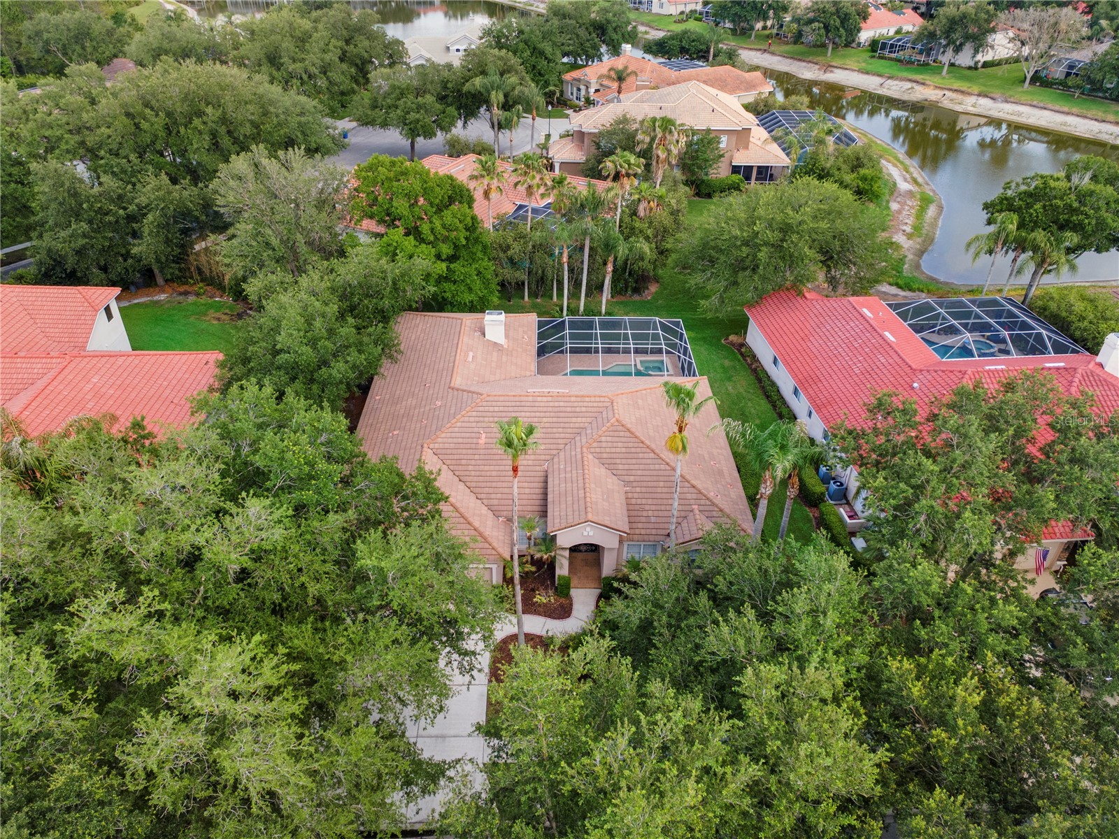 17861 Arbor Greene Drive Tampa FL 33647 TB8512311 image57