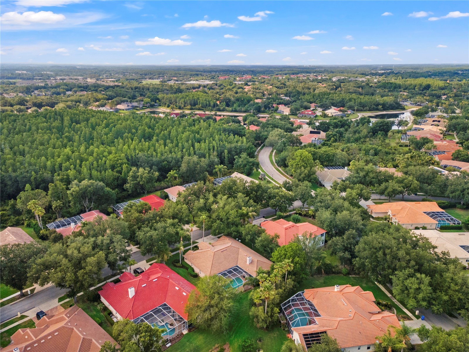 17861 Arbor Greene Drive Tampa FL 33647 TB8512311 image58