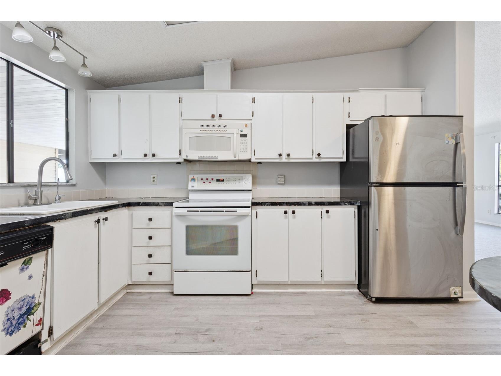 1787 W Schwartz Boulevard Lady Lake FL 32159 O6423045 image5