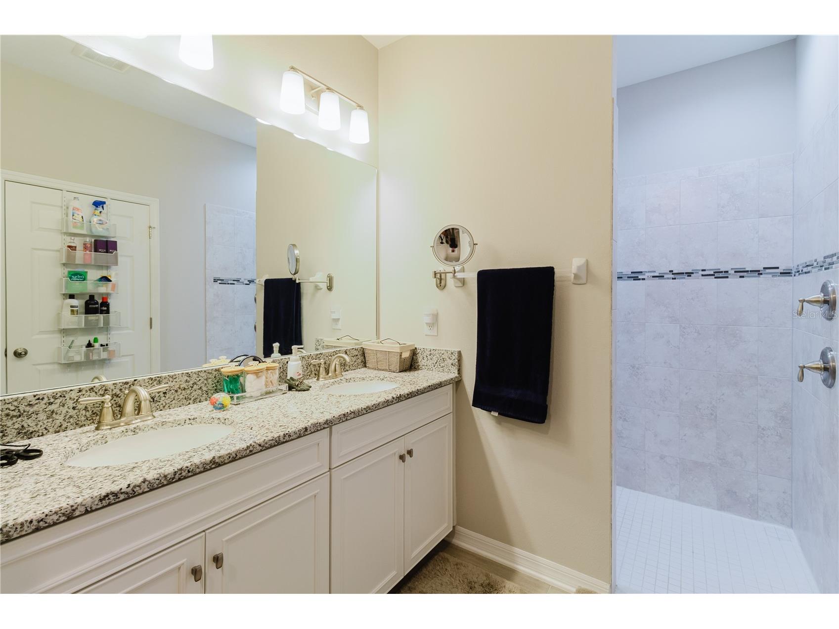 17871 Cortes Creek Boulevard Spring Hill FL 34610 TB8516772 image36