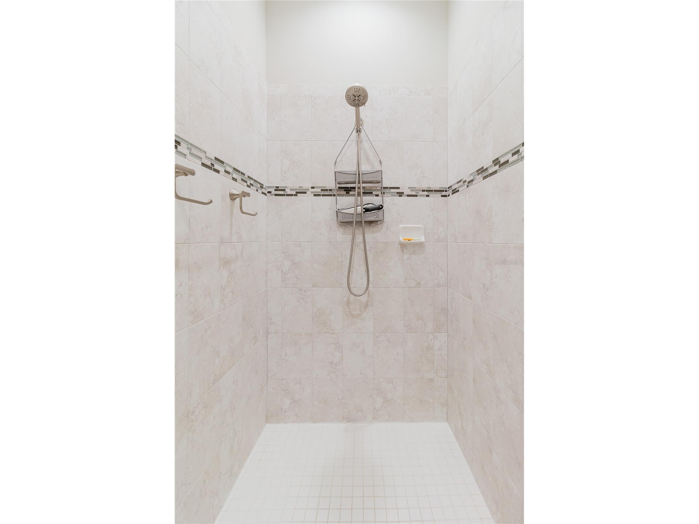 17871 Cortes Creek Boulevard Spring Hill FL 34610 TB8516772 image37