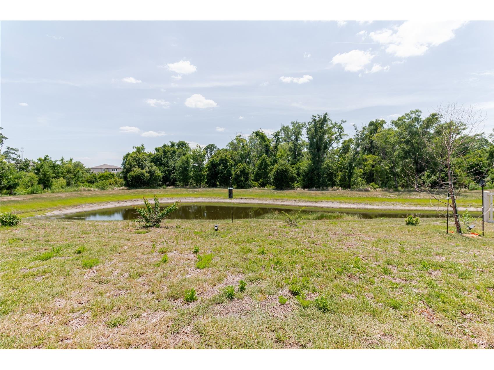 17871 Cortes Creek Boulevard Spring Hill FL 34610 TB8516772 image62