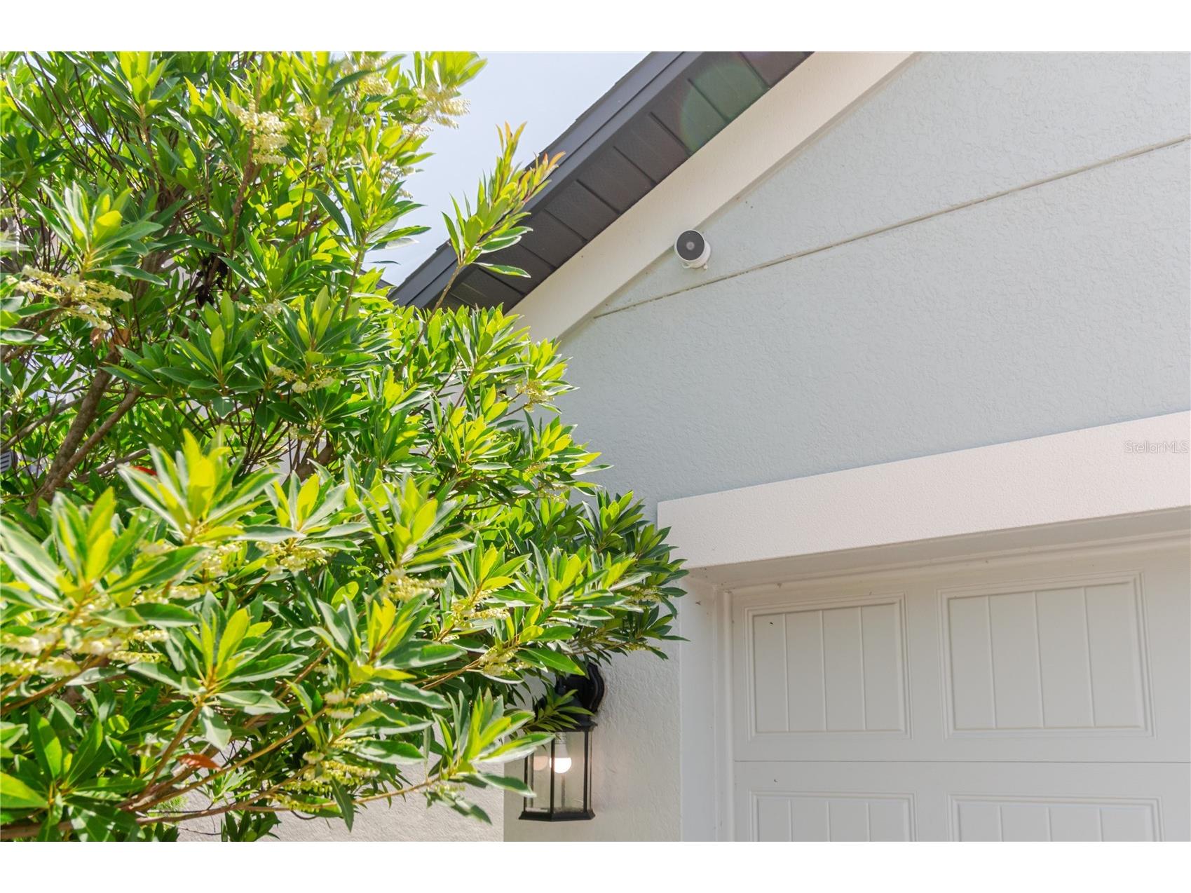 17871 Cortes Creek Boulevard Spring Hill FL 34610 TB8516772 image67