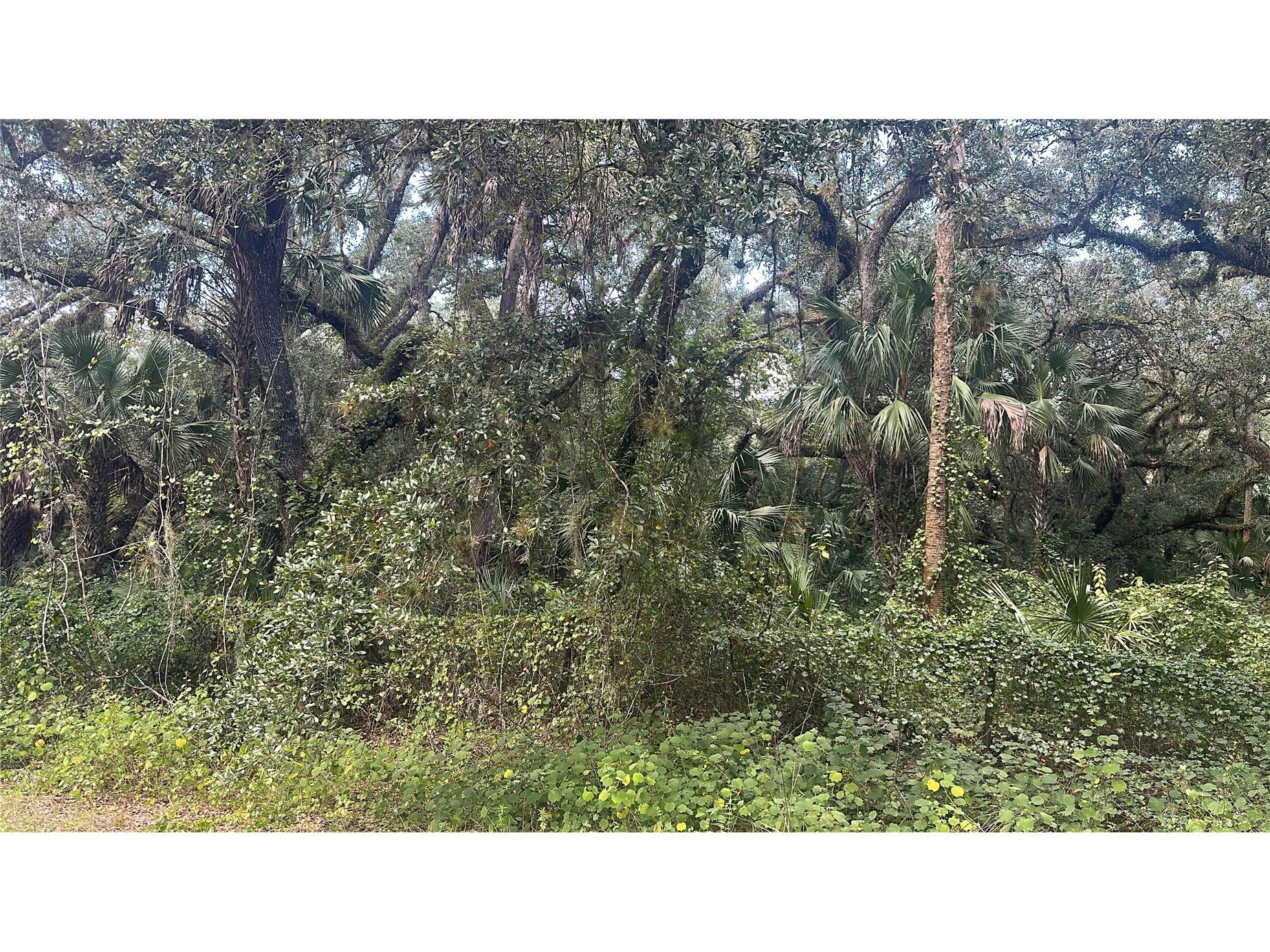 17875 NW 254th Street Okeechobee FL 34972 O6355636 image2