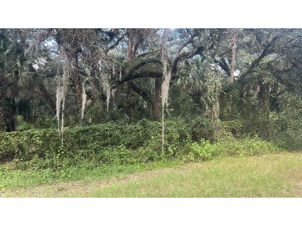 17875 NW 254th Street Okeechobee FL 34972 O6355636 image4