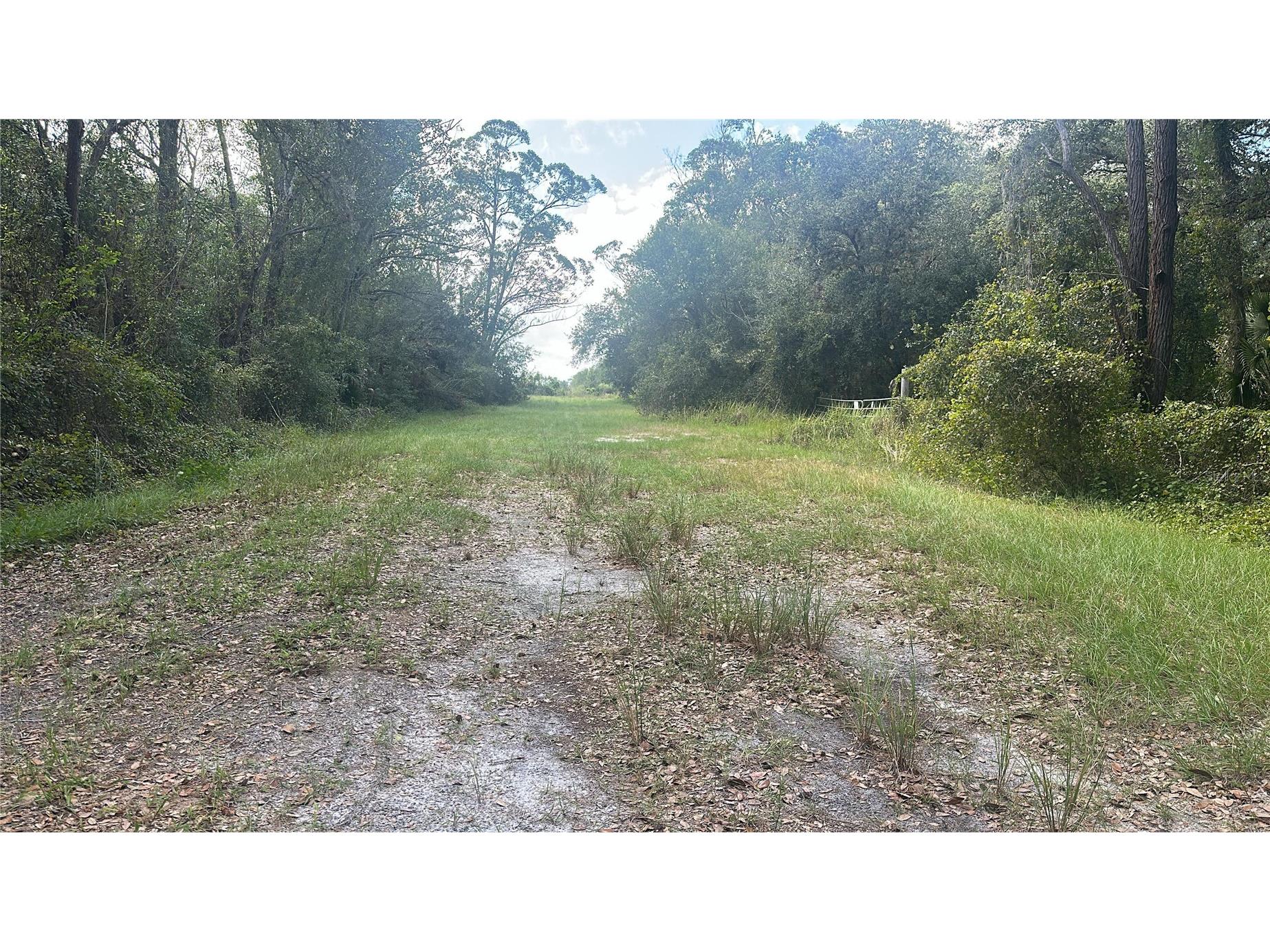 17875 NW 254th Street Okeechobee FL 34972 O6355636 image5