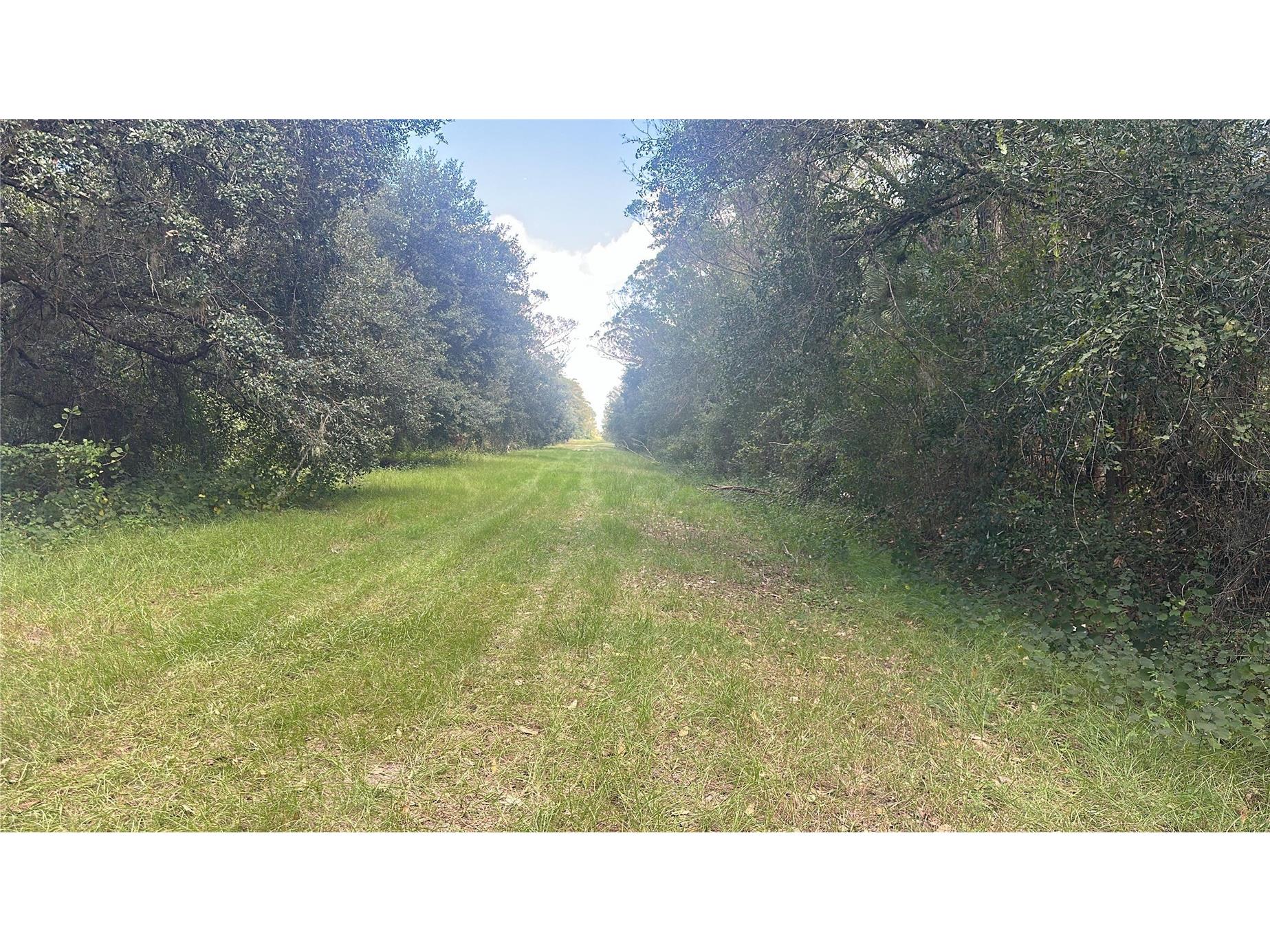 17875 NW 254th Street Okeechobee FL 34972 O6355636 image6