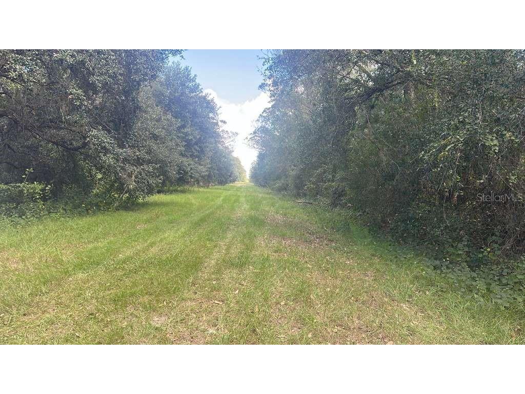 17875 NW 254th Street Okeechobee FL 34972 O6355636 image7