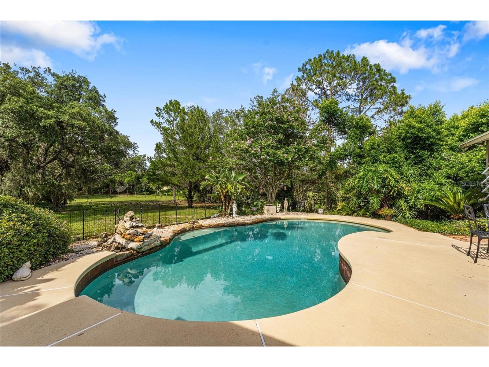 17877 Phil C Peters Rd Winter Garden FL 34787 O6402176 image27