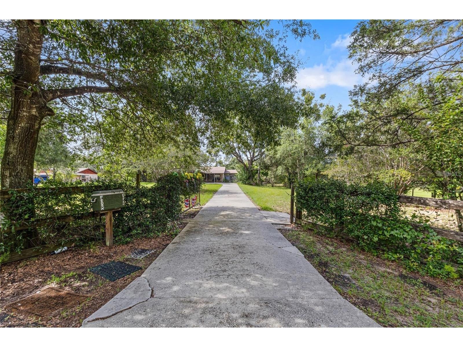 17877 Phil C Peters Rd Winter Garden FL 34787 O6402176 image4