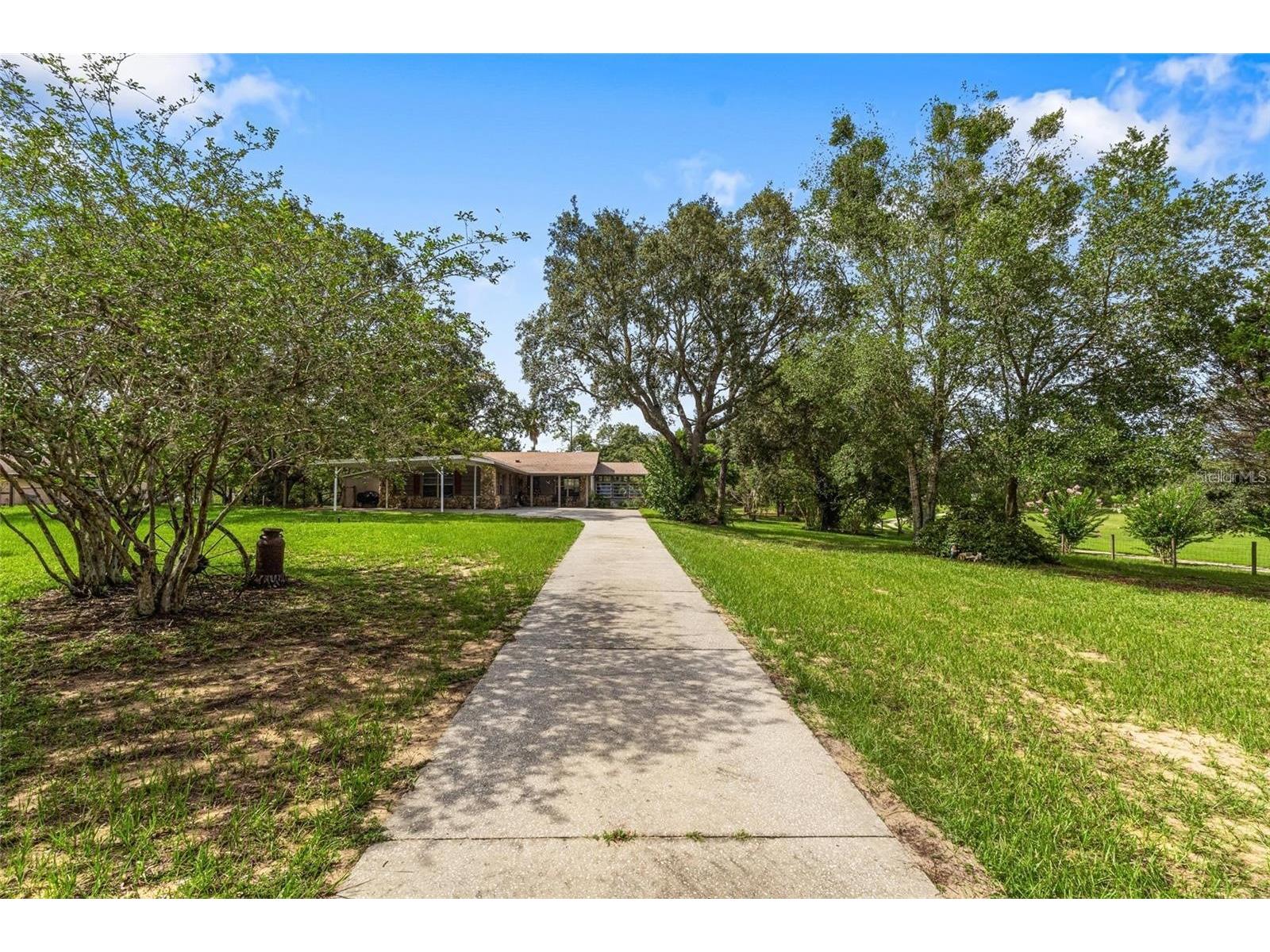 17877 Phil C Peters Rd Winter Garden FL 34787 O6402176 image5