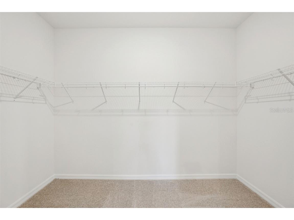 1788 Coolridge Place Zephyrhills FL 33541 O6351921 image50