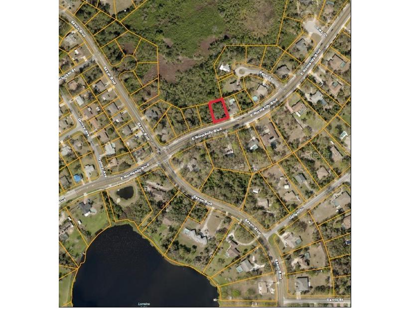 1788 E Normandy Boulevard Deltona FL 32725 O6353904 image3