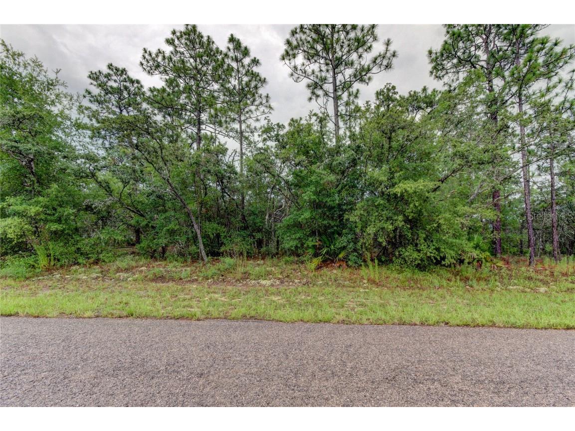 1788 W Hialeah Drive Citrus Springs FL 34434 U8205742 image1