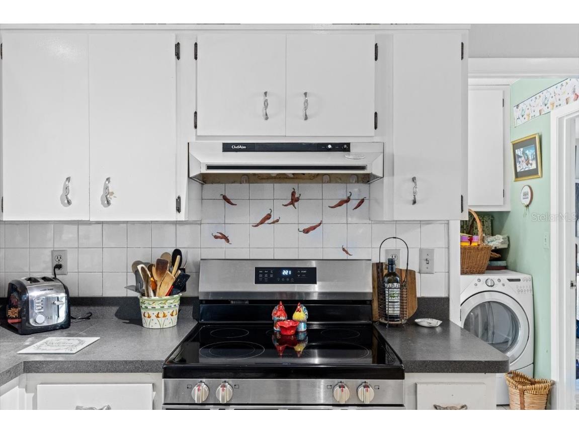 1788 W Manila Lane Lecanto FL 34461 TB8423202 image16