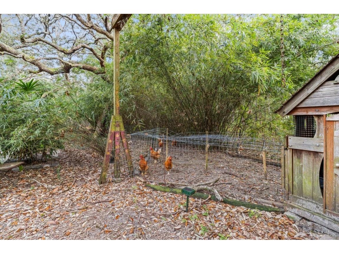 1788 W Manila Lane Lecanto FL 34461 TB8423202 image42