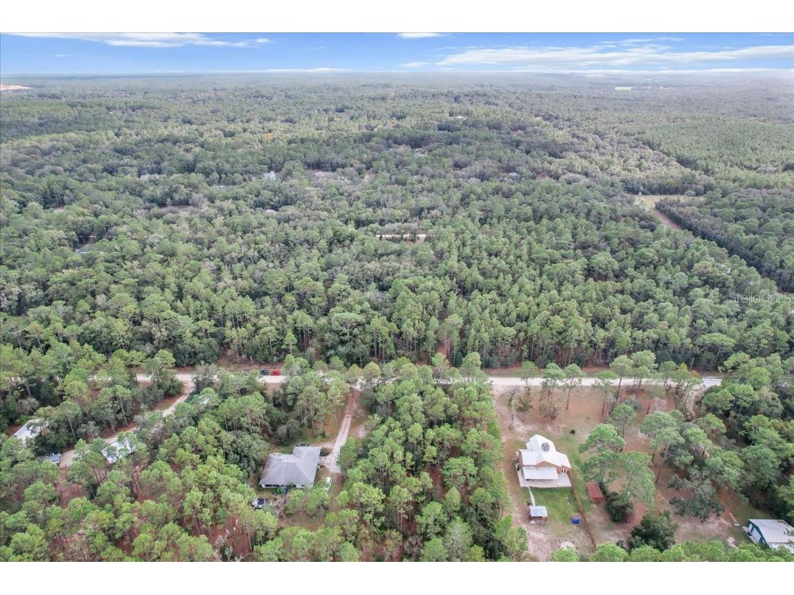 1788 W Manila Lane Lecanto FL 34461 TB8423202 image45