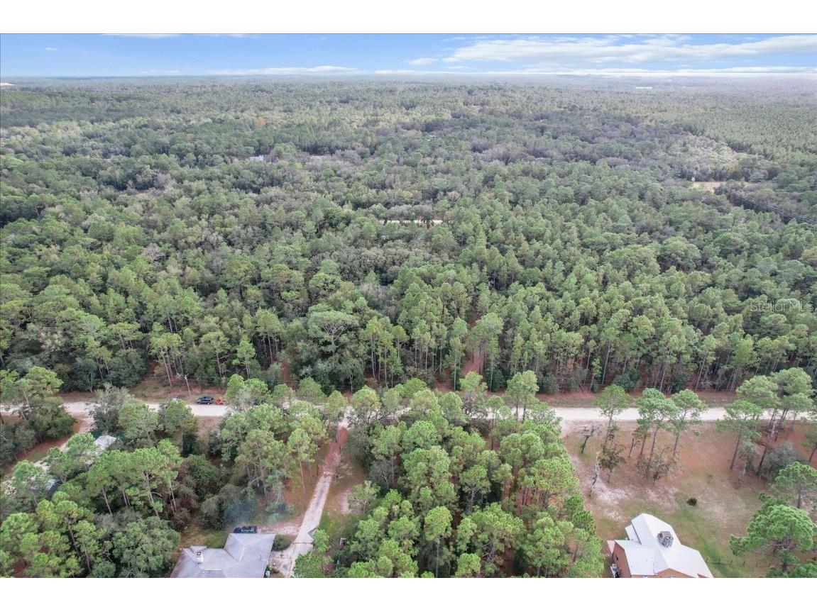 1788 W Manila Lane Lecanto FL 34461 TB8423202 image47