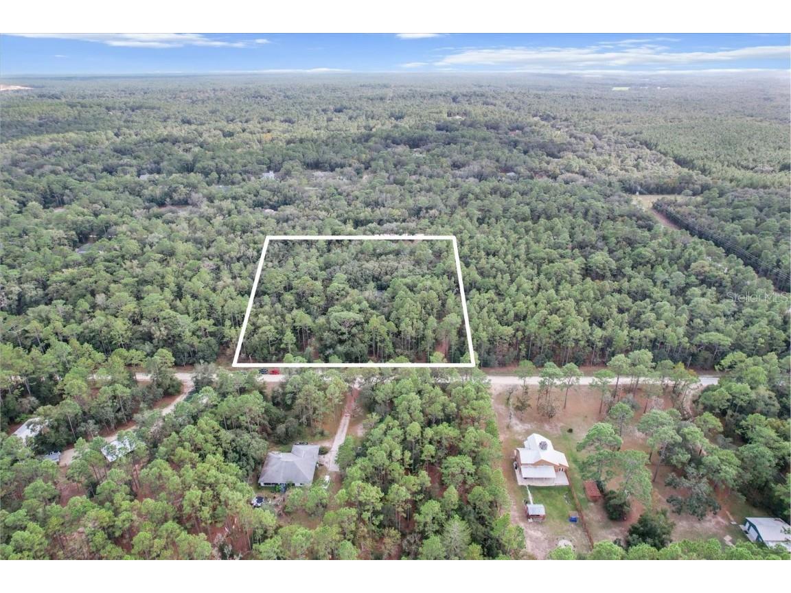 1788 W Manila Lane Lecanto FL 34461 TB8423202 image5