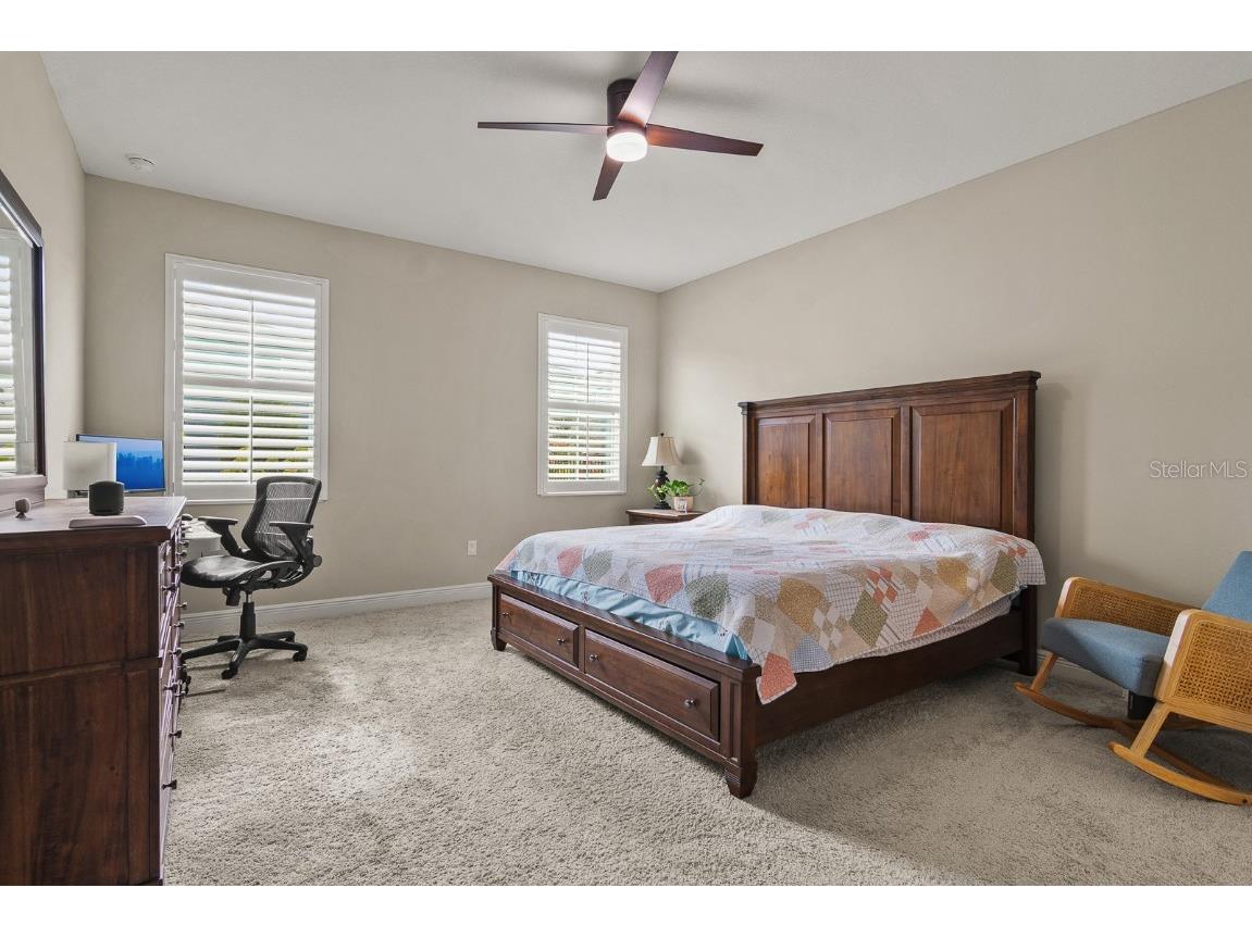 17880 Moon Rise Pass Land O Lakes FL 34638 TB8460686 image16