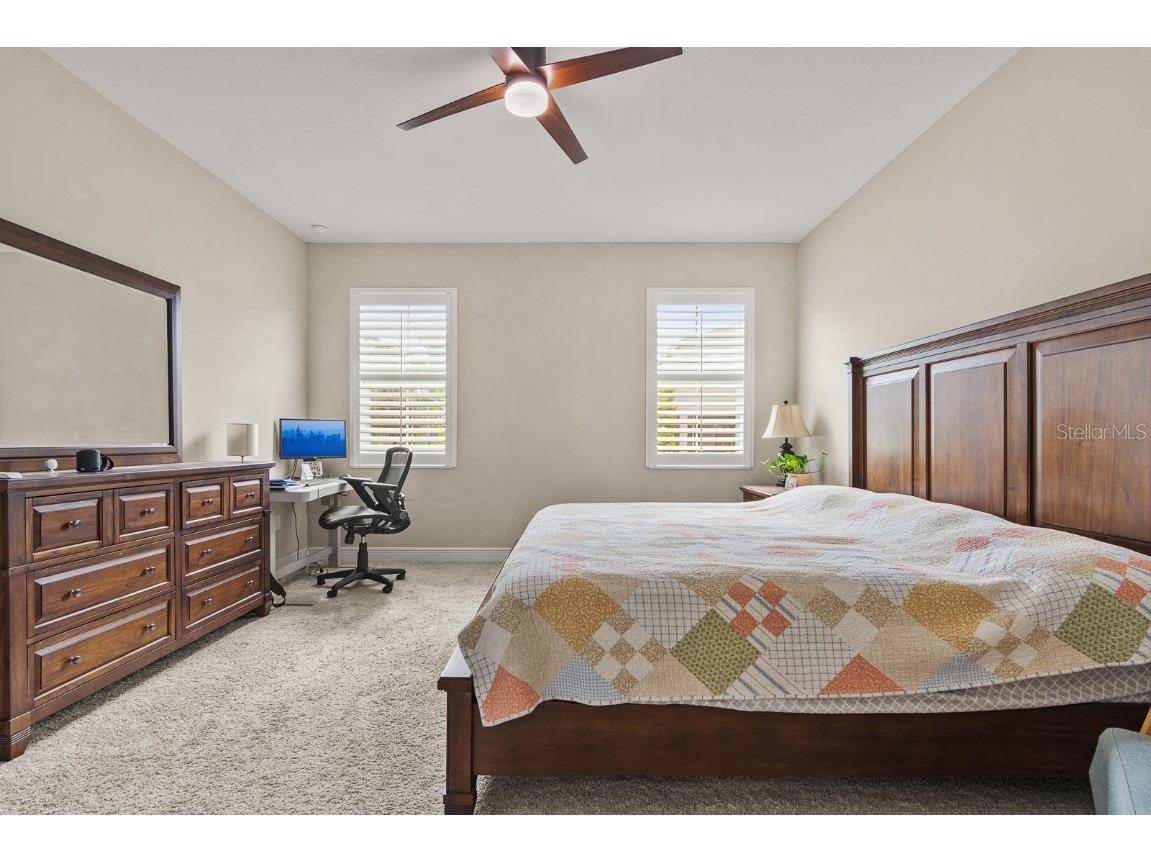 17880 Moon Rise Pass Land O Lakes FL 34638 TB8460686 image17