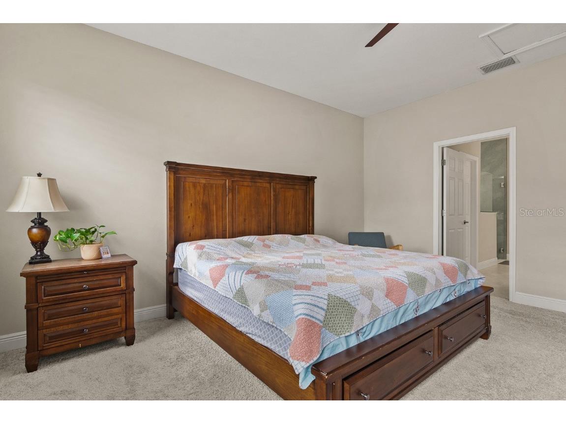 17880 Moon Rise Pass Land O Lakes FL 34638 TB8460686 image18