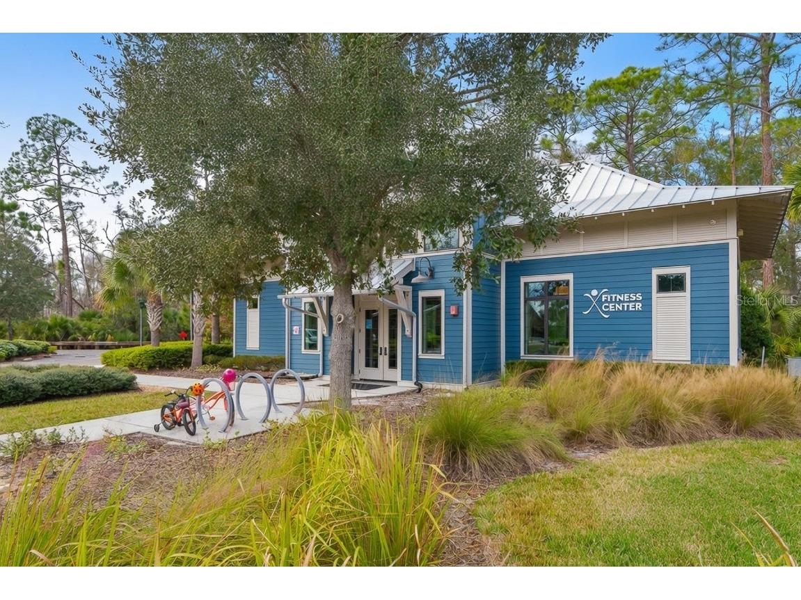 17880 Moon Rise Pass Land O Lakes FL 34638 TB8460686 image42