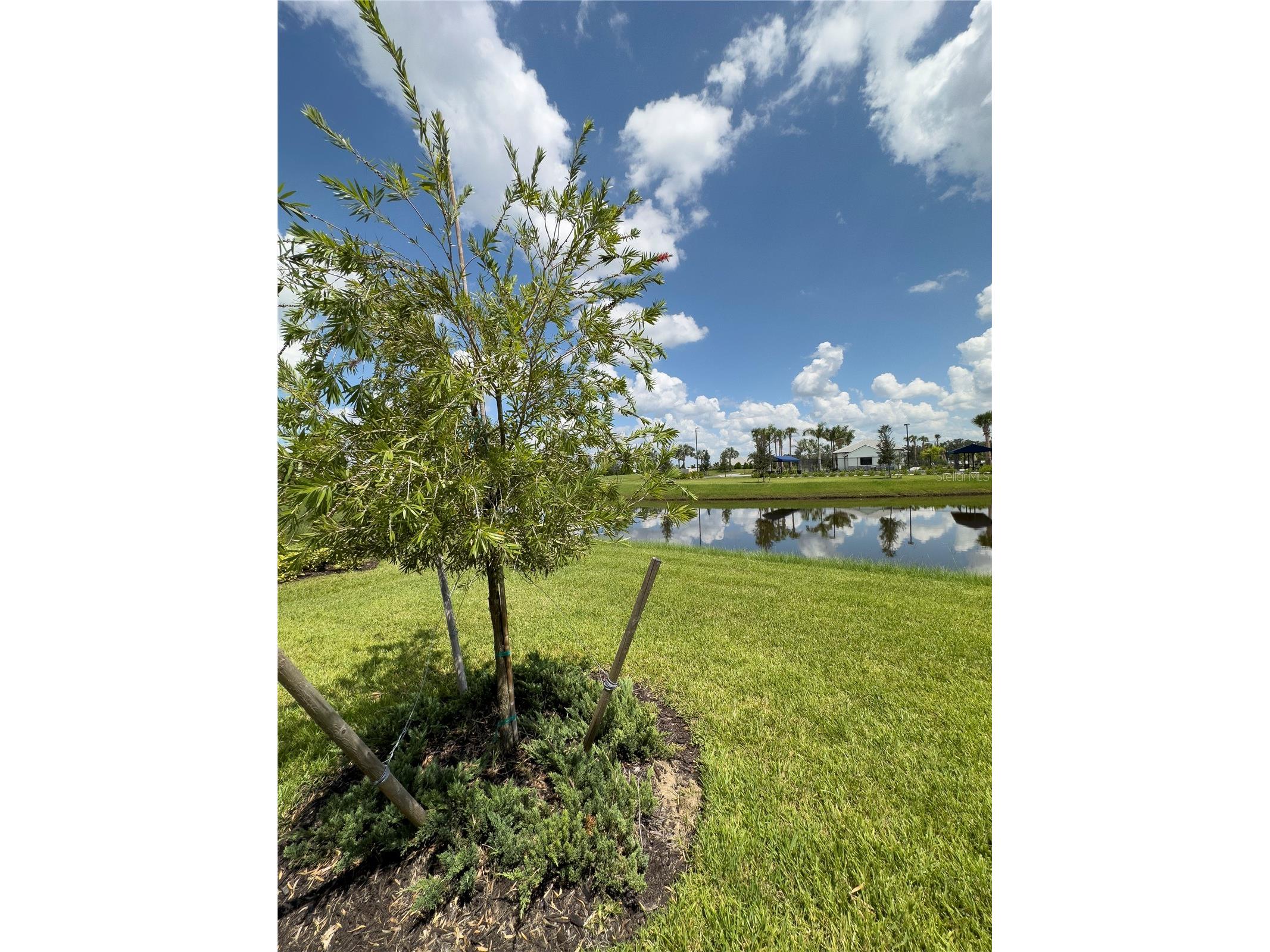 17881 Cherished Loop Bradenton FL 34211 A4699047 image23
