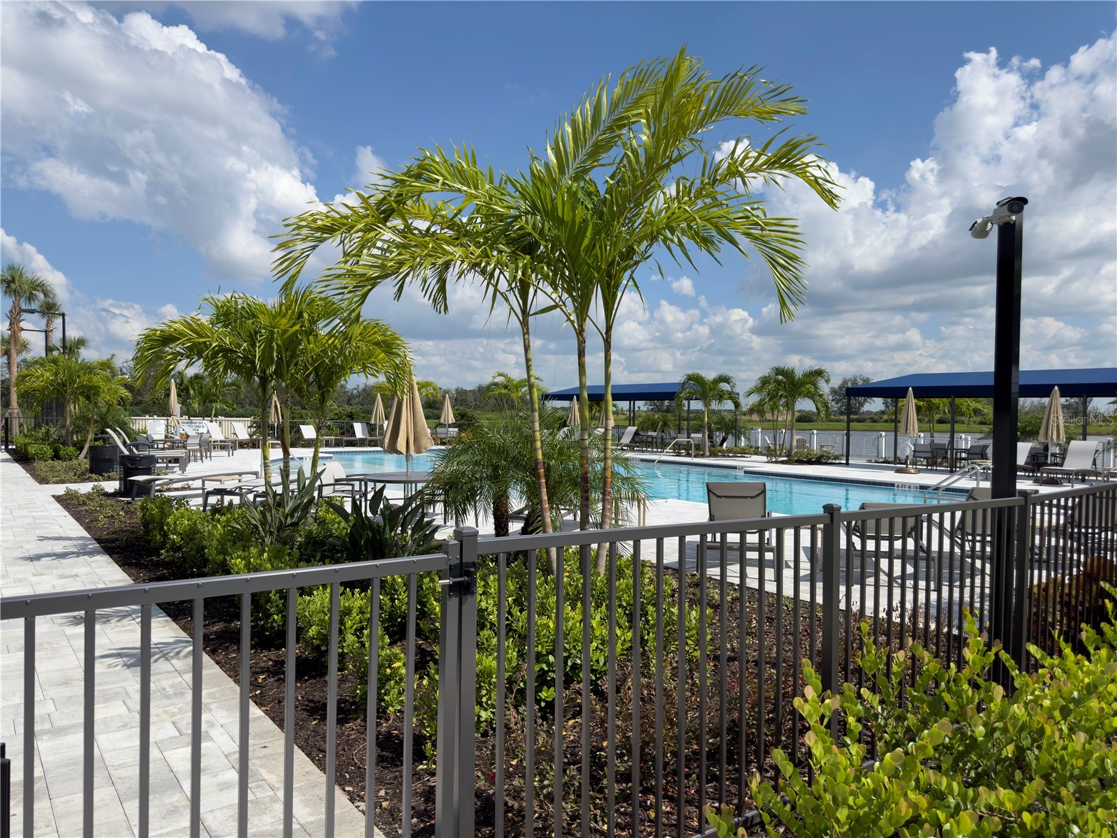 17881 Cherished Loop Bradenton FL 34211 A4699047 image26
