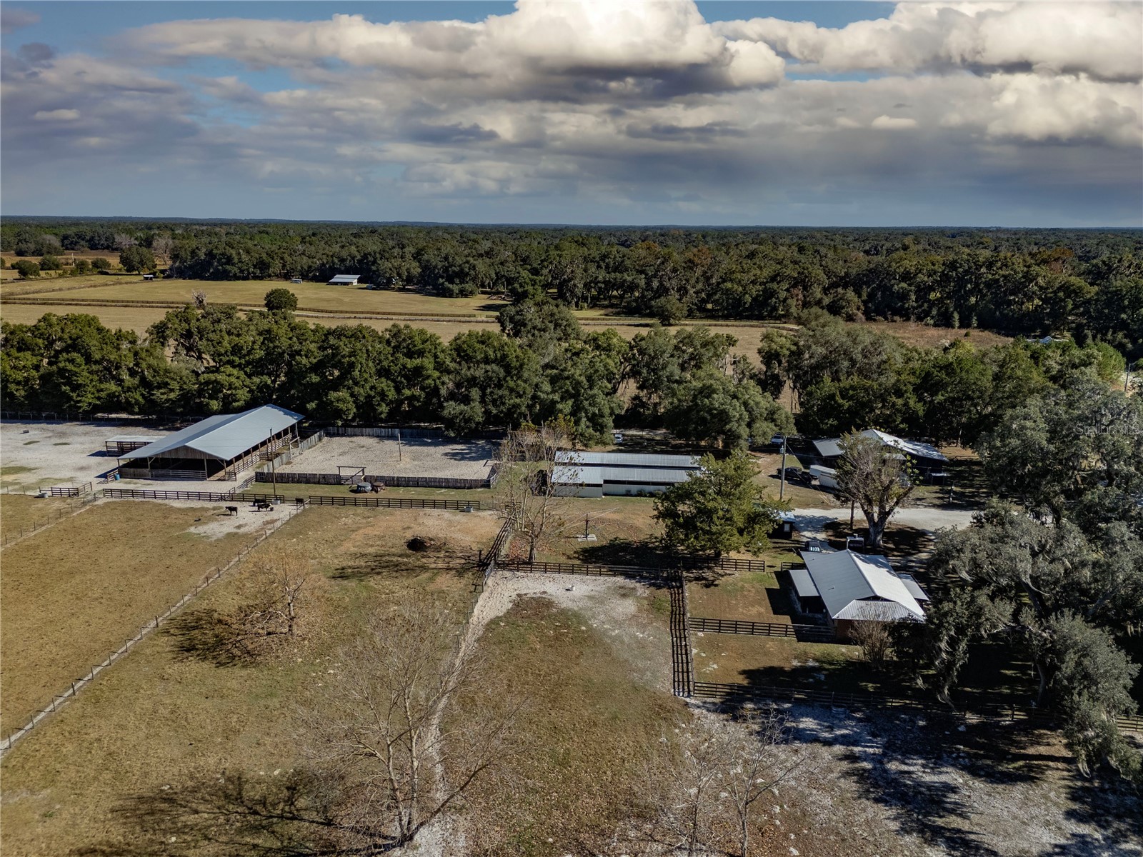 17885 NE 2nd Place Williston FL 32696 OM715392 image4