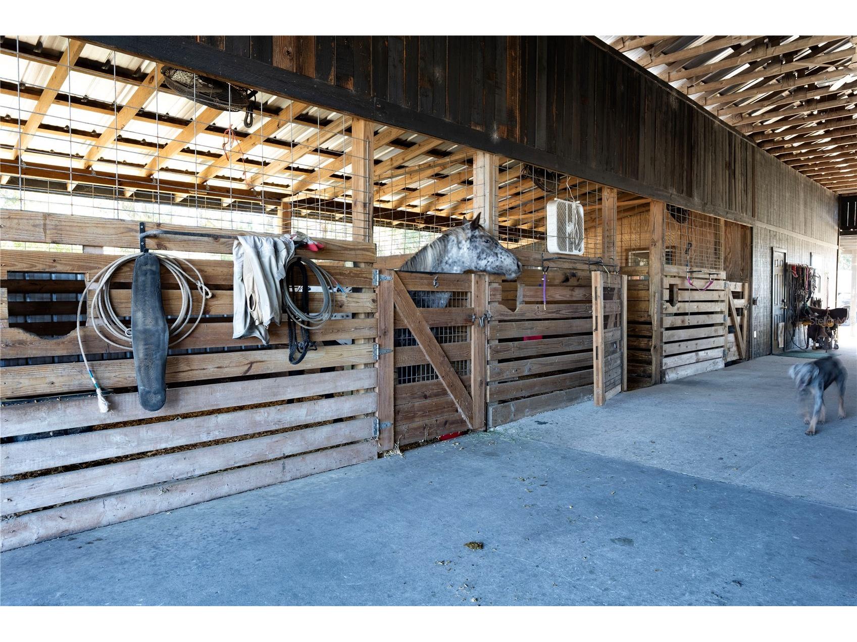 17885 NE 2nd Place Williston FL 32696 OM715392 image43