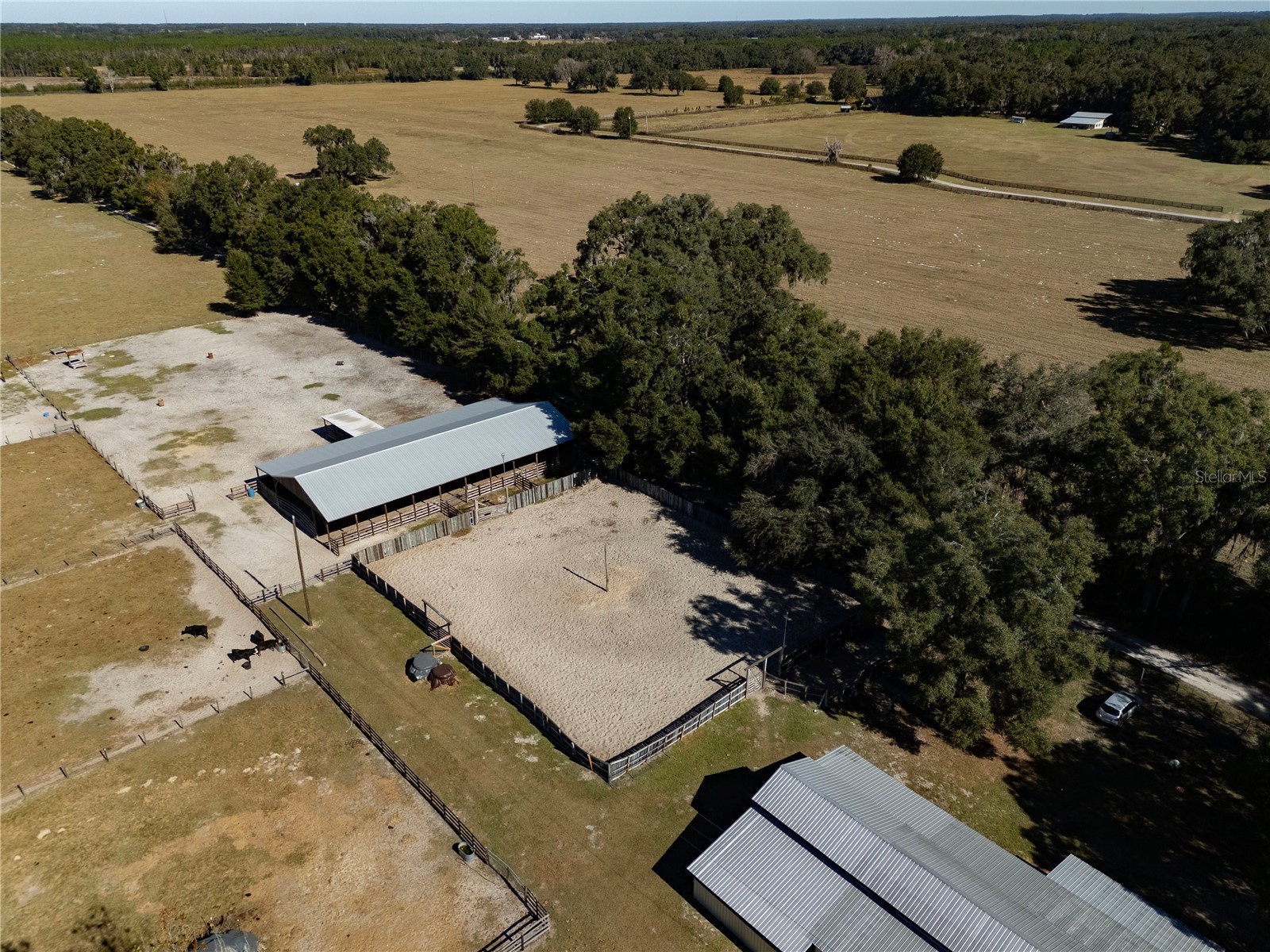 17885 NE 2nd Place Williston FL 32696 OM715392 image5