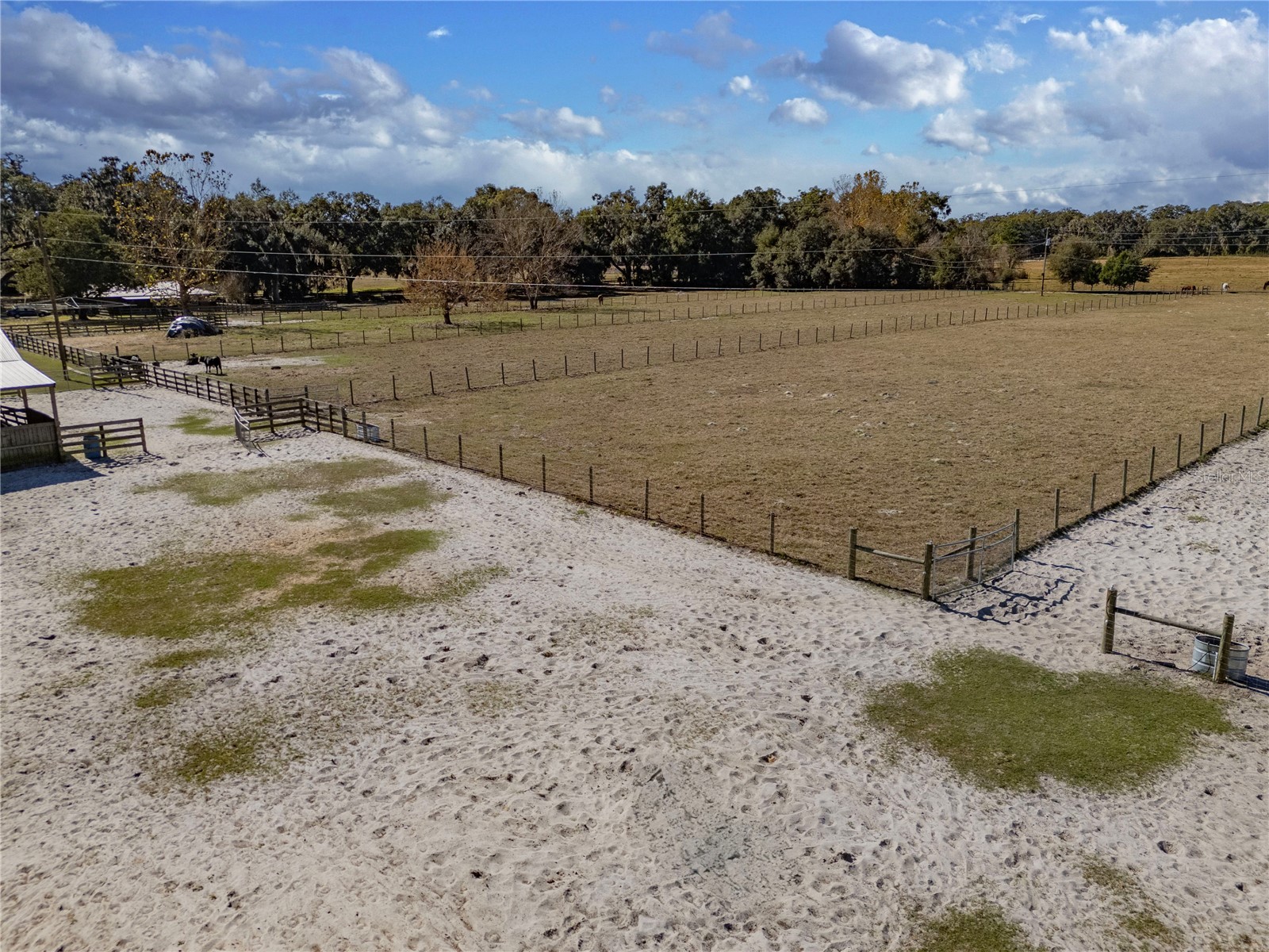 17885 NE 2nd Place Williston FL 32696 OM715392 image52