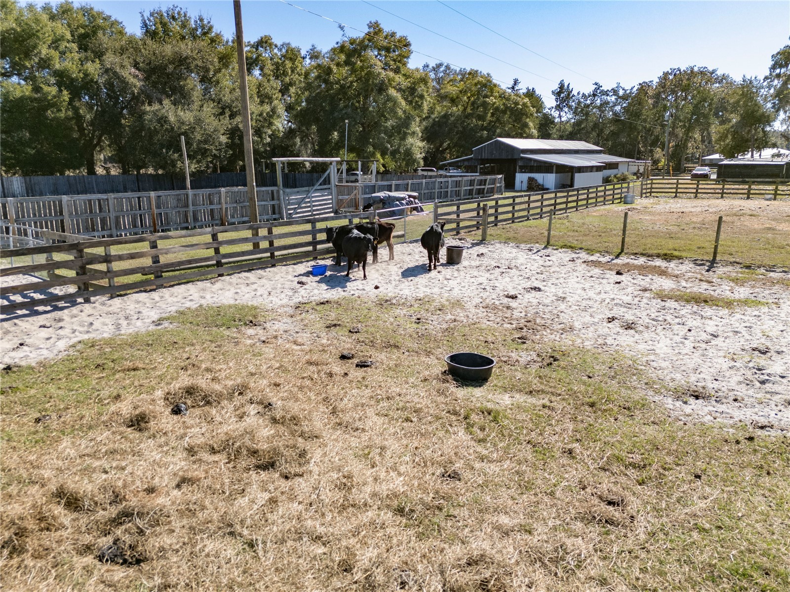 17885 NE 2nd Place Williston FL 32696 OM715392 image55