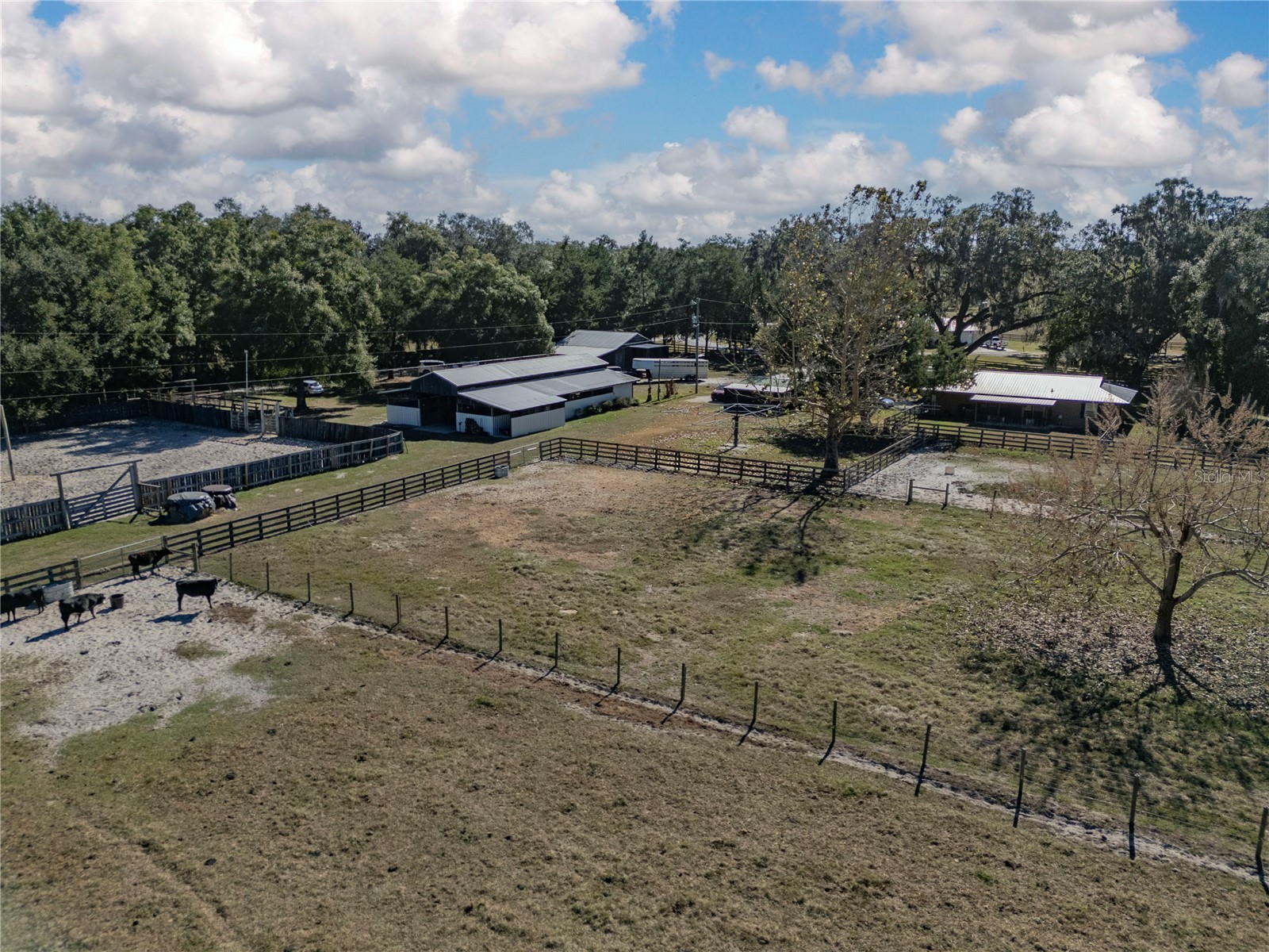 17885 NE 2nd Place Williston FL 32696 OM715392 image75
