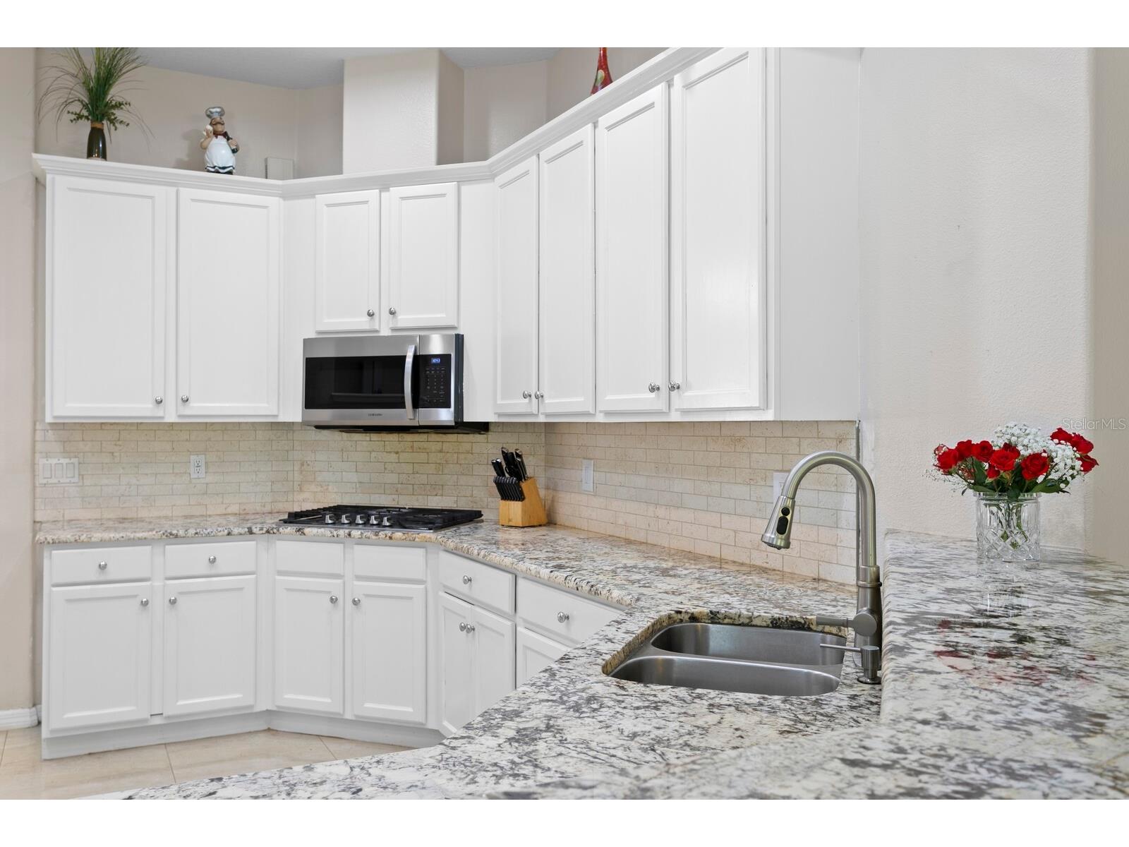 17888 Arbor Greene Drive Tampa FL 33647 TB8501070 image11
