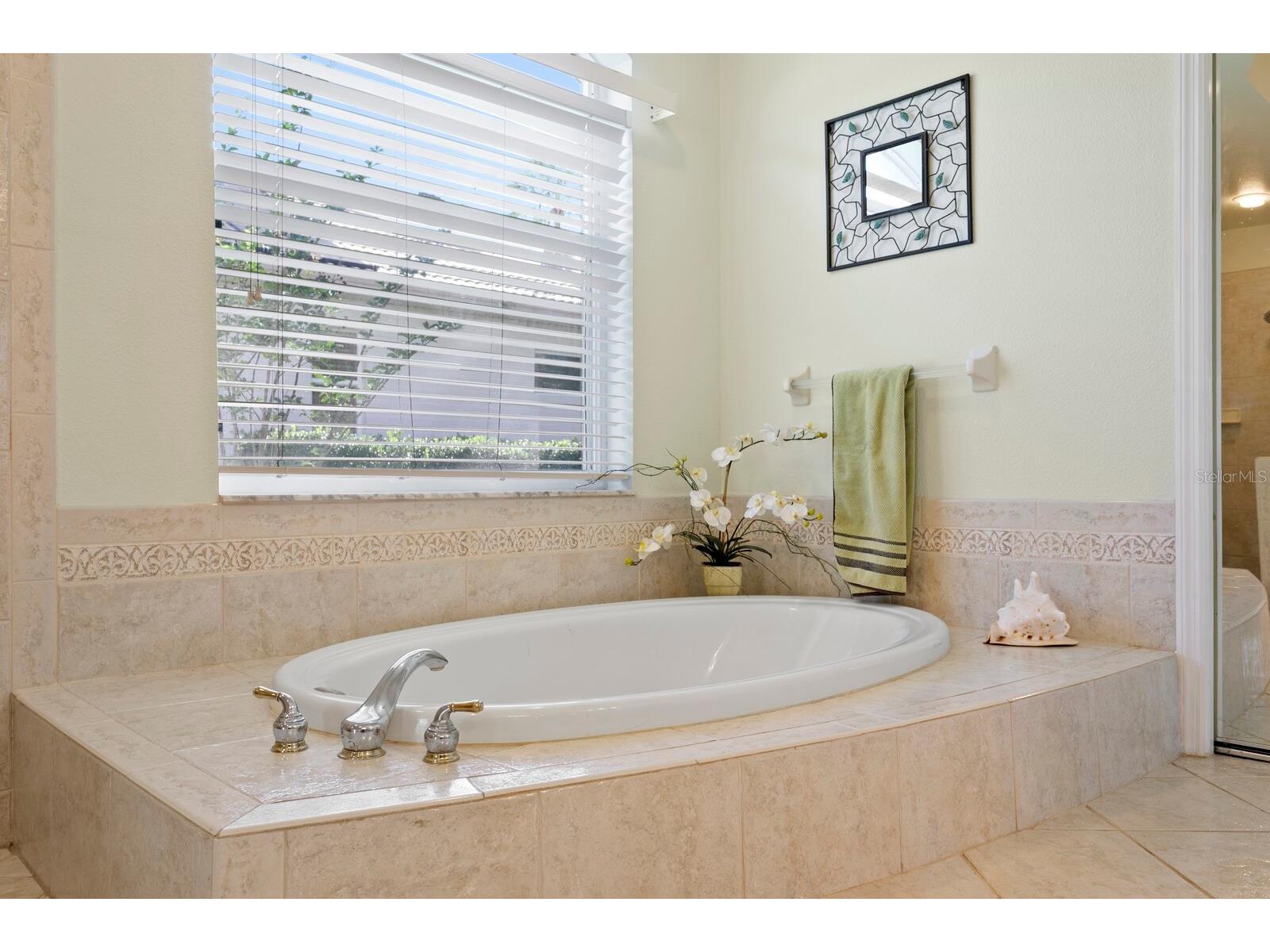 17888 Arbor Greene Drive Tampa FL 33647 TB8501070 image22