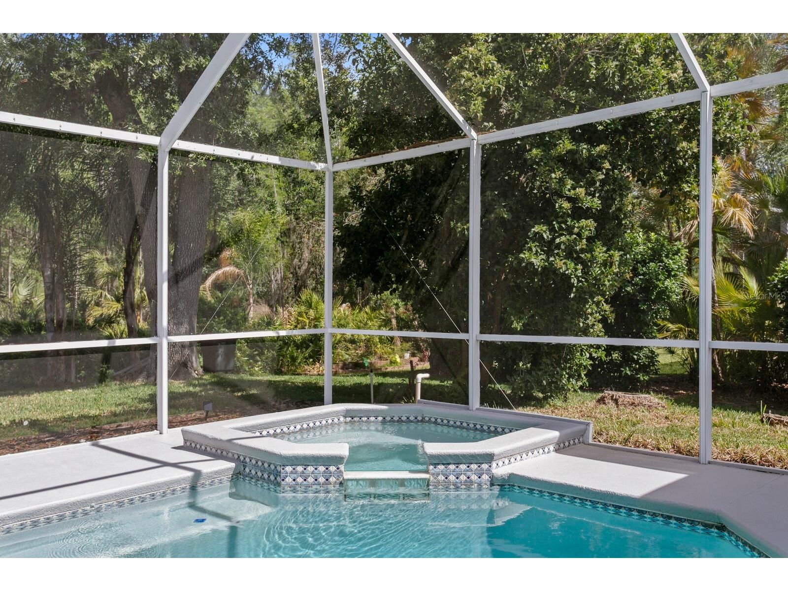 17888 Arbor Greene Drive Tampa FL 33647 TB8501070 image32