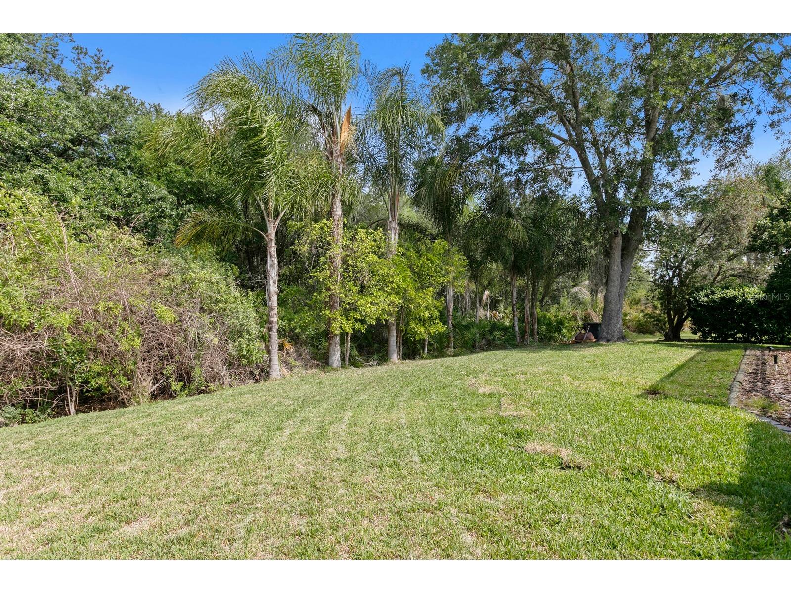 17888 Arbor Greene Drive Tampa FL 33647 TB8501070 image38