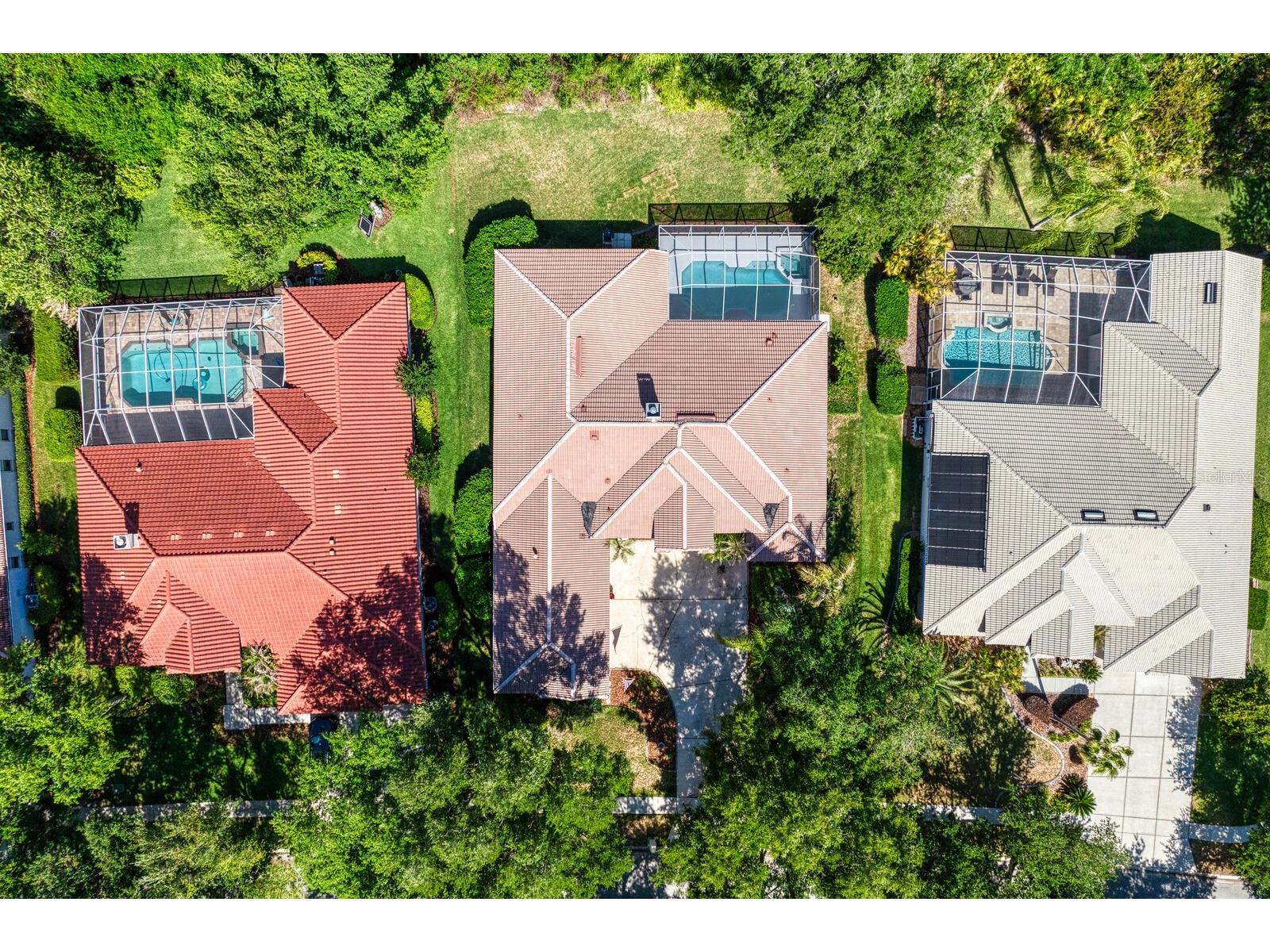 17888 Arbor Greene Drive Tampa FL 33647 TB8501070 image41