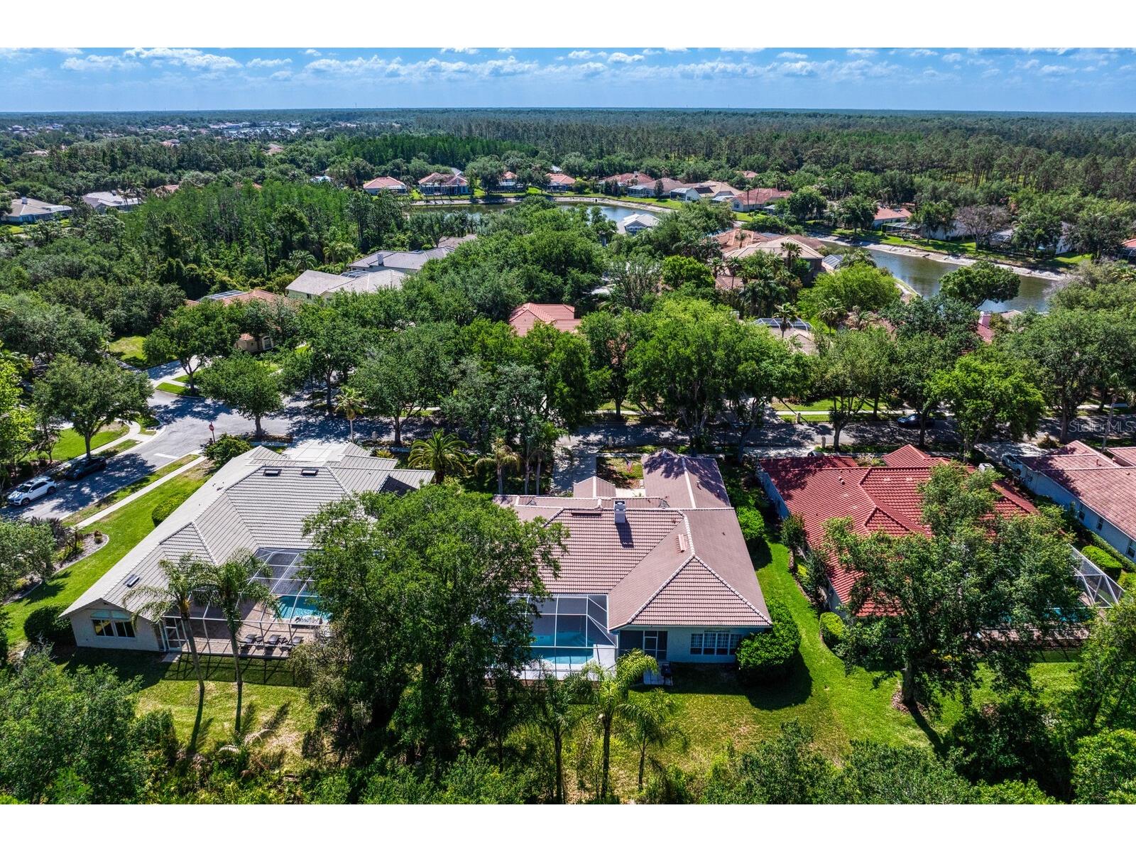 17888 Arbor Greene Drive Tampa FL 33647 TB8501070 image43
