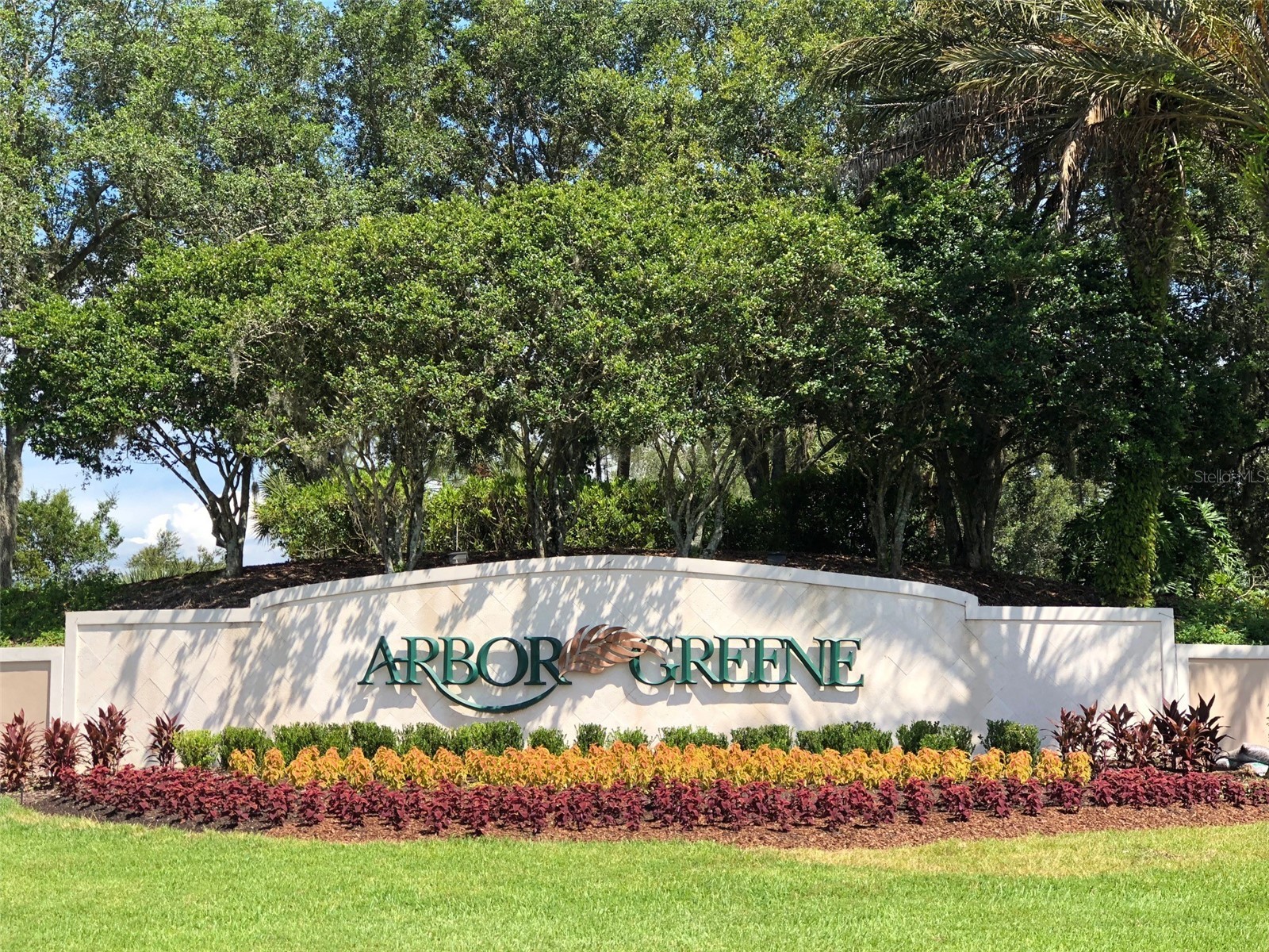 17888 Arbor Greene Drive Tampa FL 33647 TB8501070 image44