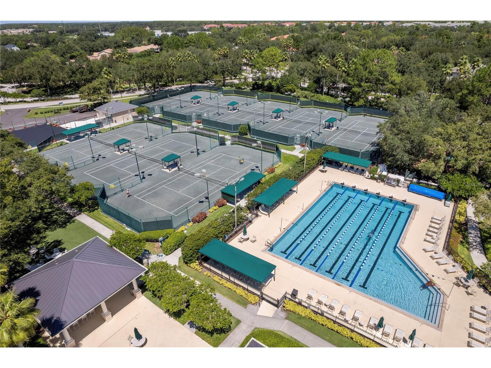 17888 Arbor Greene Drive Tampa FL 33647 TB8501070 image47