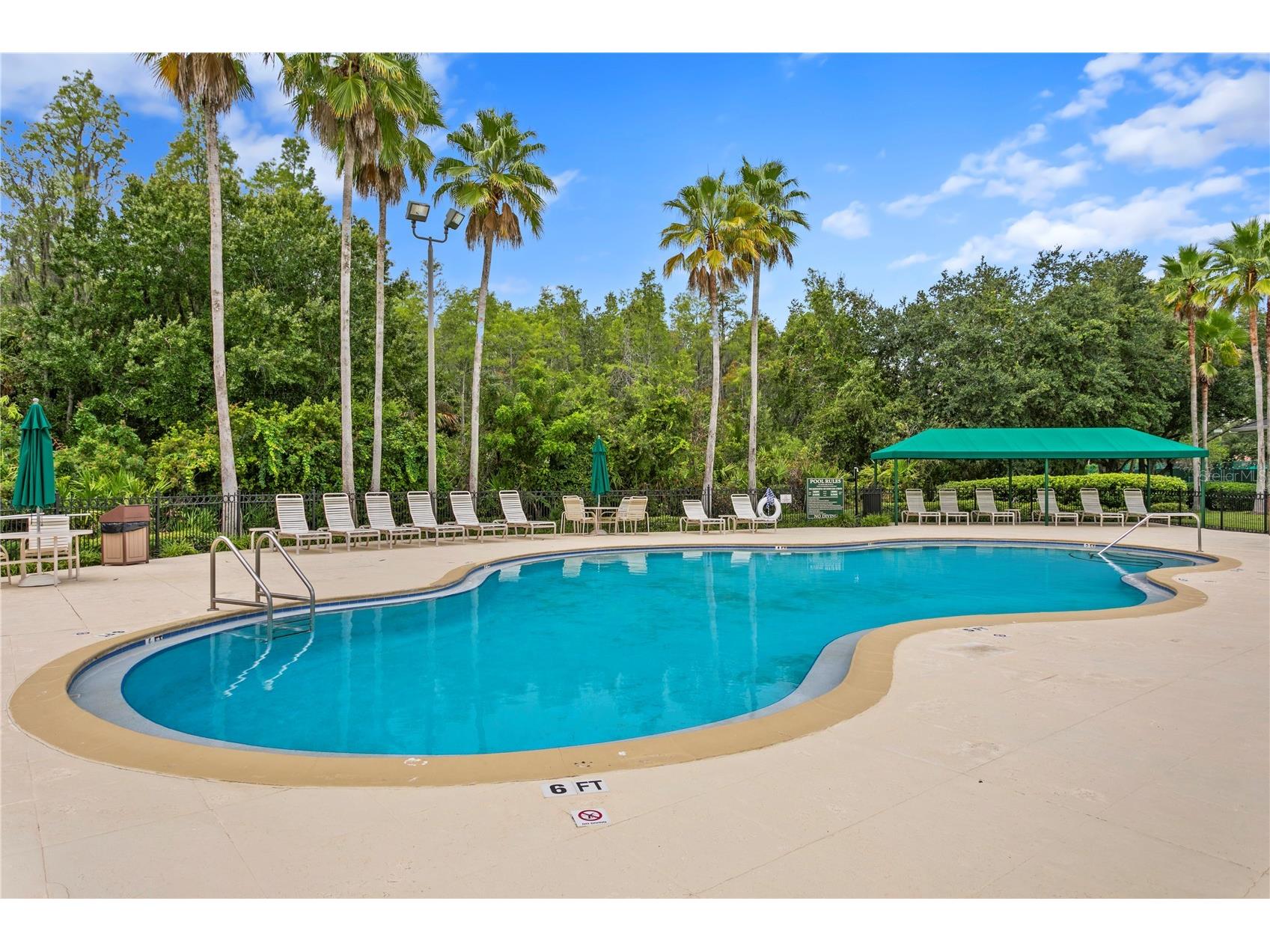 17888 Arbor Greene Drive Tampa FL 33647 TB8501070 image55