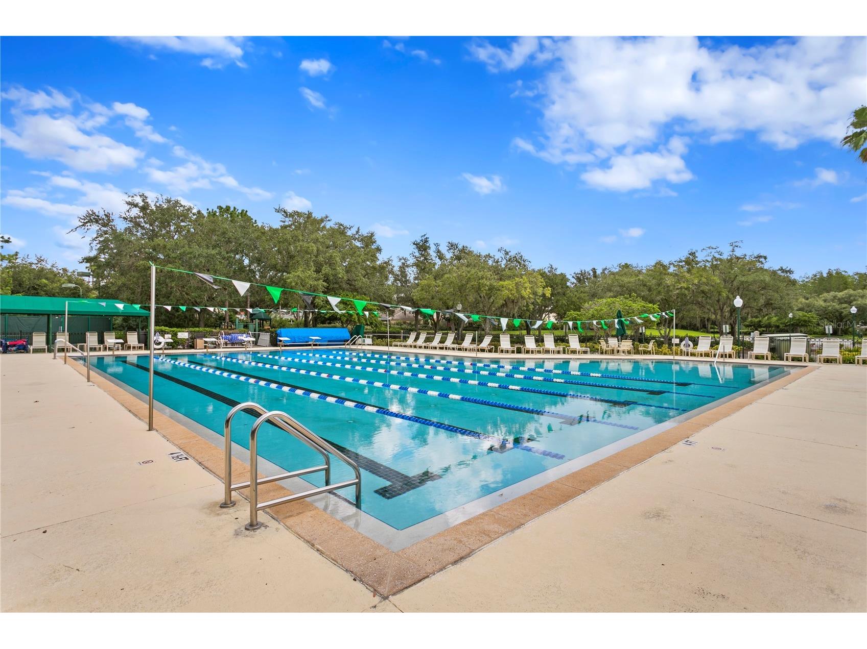 17888 Arbor Greene Drive Tampa FL 33647 TB8501070 image56