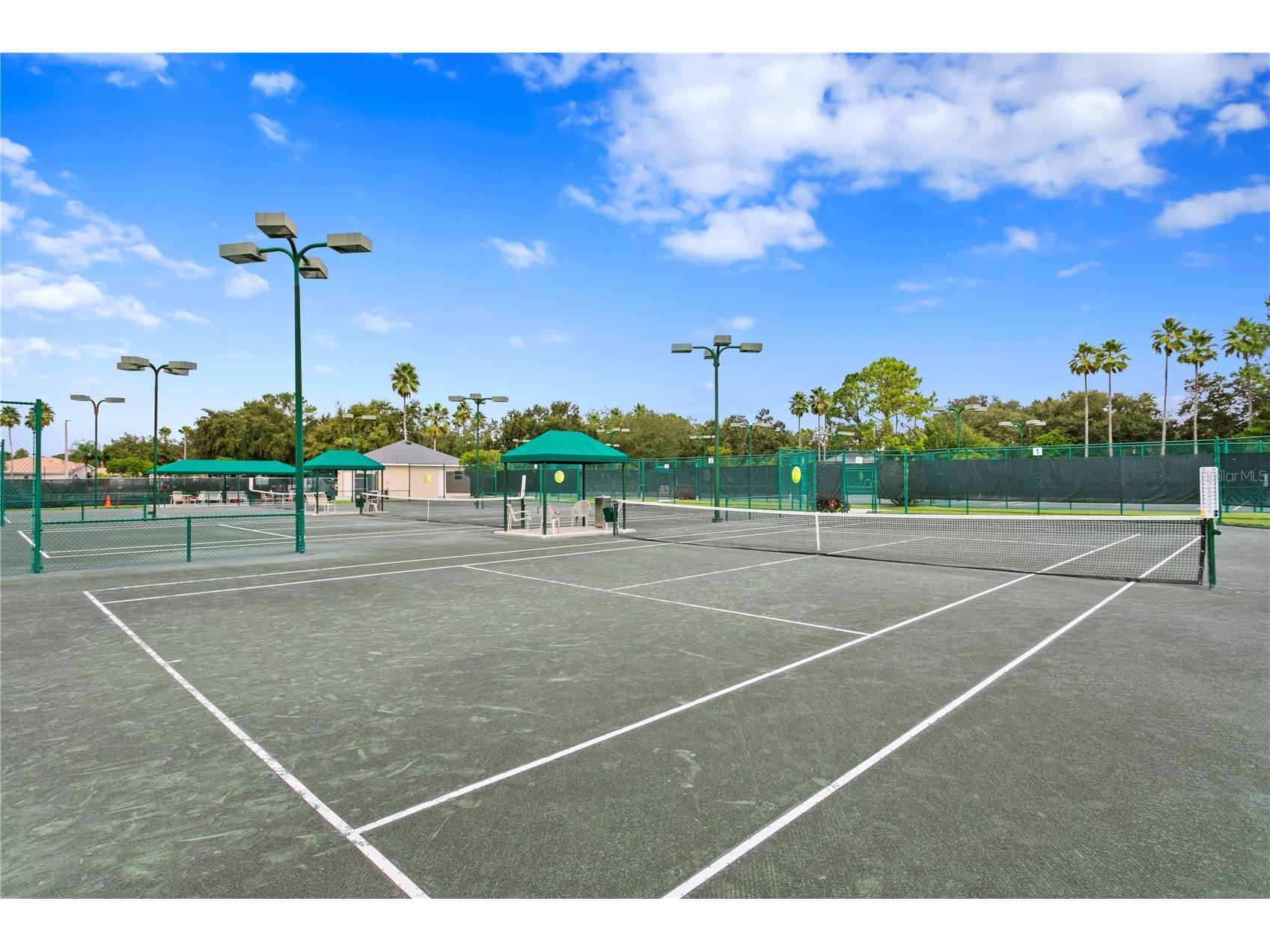 17888 Arbor Greene Drive Tampa FL 33647 TB8501070 image58