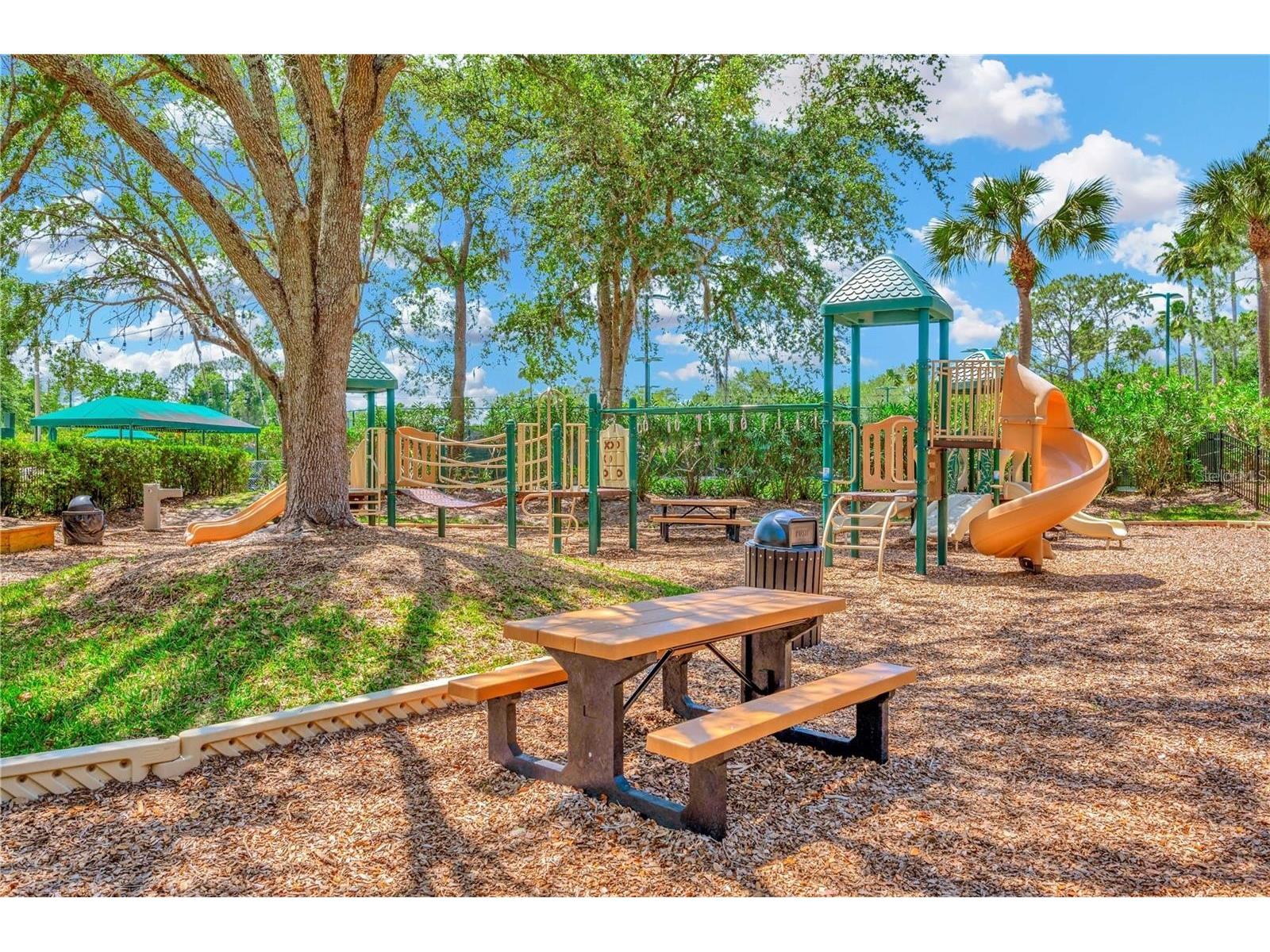 17888 Arbor Greene Drive Tampa FL 33647 TB8501070 image59