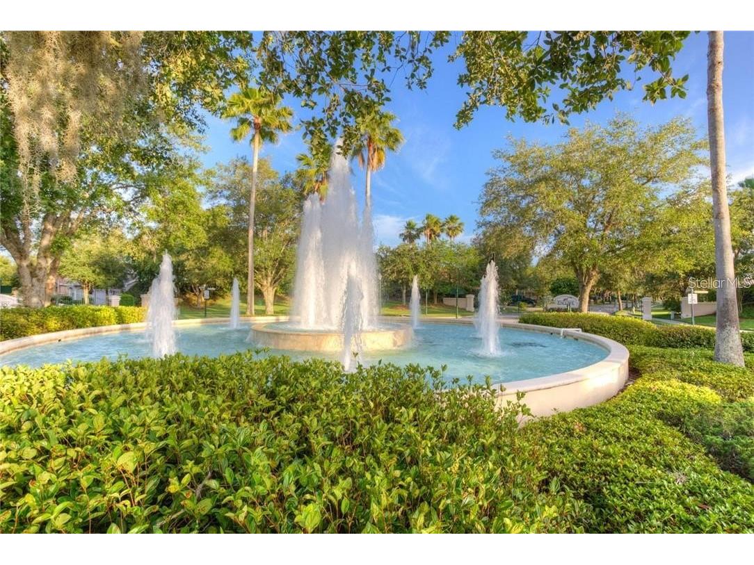 17888 Arbor Greene Drive Tampa FL 33647 TB8501070 image60