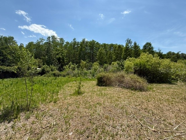 17889 Thomas Boulevard Hudson FL 34667 TB8511910 image19