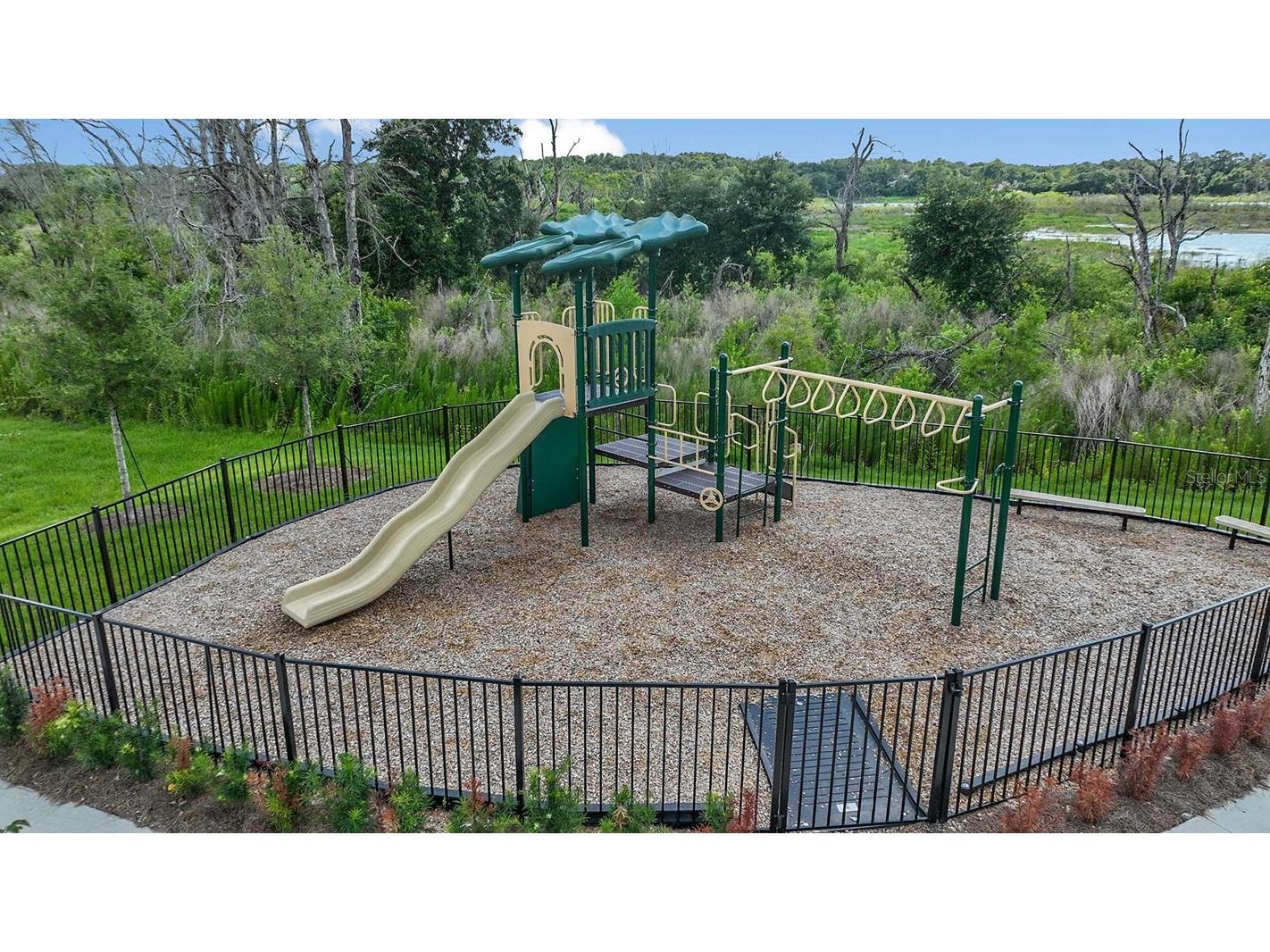 1789 Terrapin Road Ocoee FL 34761 S5150904 image25